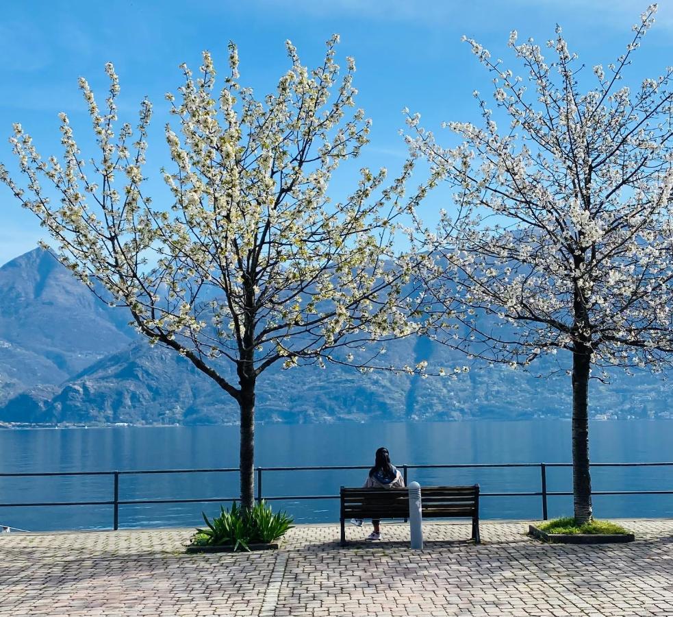 Brother'S Como Lake Suite Acquaseria Esterno foto